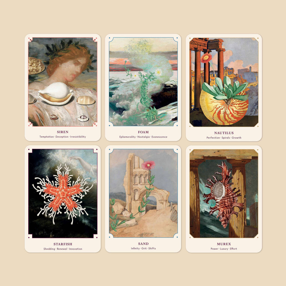 Oracle Shells THE SHELL ORACLE: 44 CARD DECK AND GUIDE BOOK