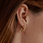 Agapé - Tortis Earrings
